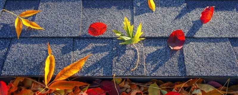 roof maintenance tips for Fall
