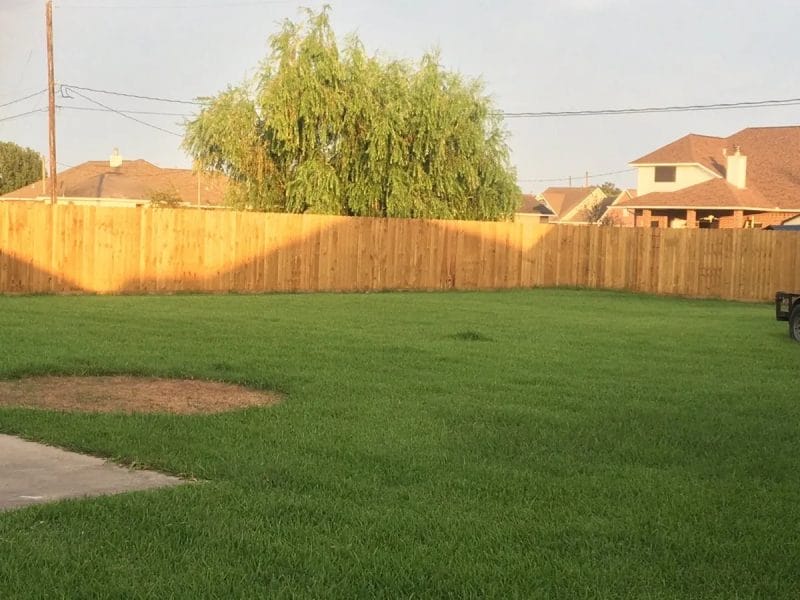 Tips for Selecting the Perfect Fence